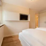 In With Sauna And Wi-fi